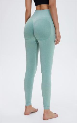 Seamless Leggings